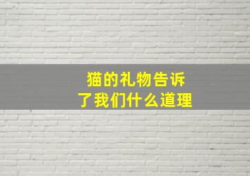 猫的礼物告诉了我们什么道理