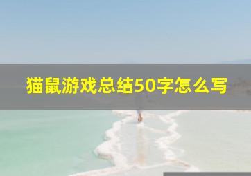 猫鼠游戏总结50字怎么写