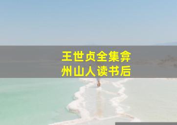 王世贞全集弇州山人读书后