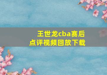 王世龙cba赛后点评视频回放下载