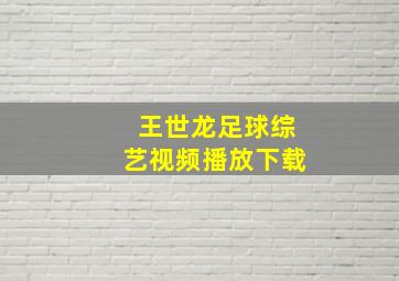 王世龙足球综艺视频播放下载