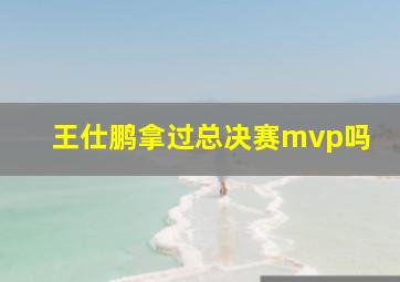 王仕鹏拿过总决赛mvp吗