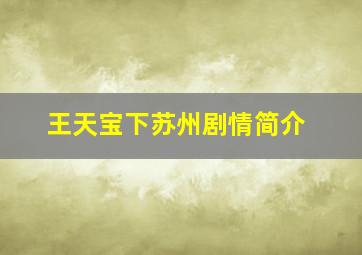 王天宝下苏州剧情简介