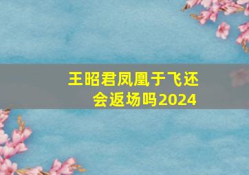 王昭君凤凰于飞还会返场吗2024