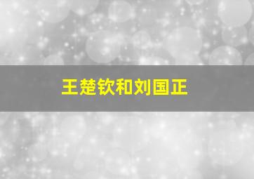 王楚钦和刘国正