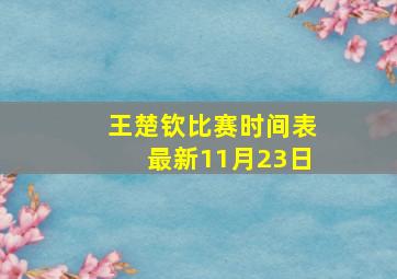 王楚钦比赛时间表最新11月23日