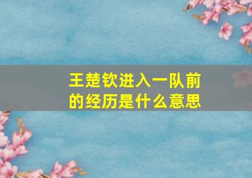 王楚钦进入一队前的经历是什么意思