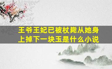 王爷王妃已被杖毙从她身上掉下一块玉是什么小说