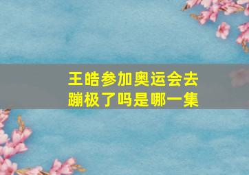 王皓参加奥运会去蹦极了吗是哪一集