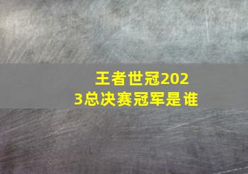 王者世冠2023总决赛冠军是谁