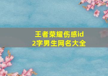 王者荣耀伤感id2字男生网名大全