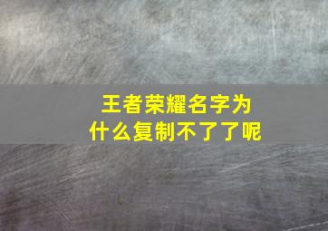 王者荣耀名字为什么复制不了了呢