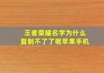 王者荣耀名字为什么复制不了了呢苹果手机