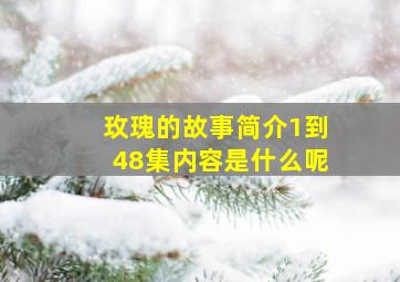 玫瑰的故事简介1到48集内容是什么呢