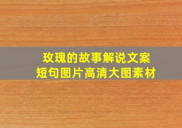 玫瑰的故事解说文案短句图片高清大图素材