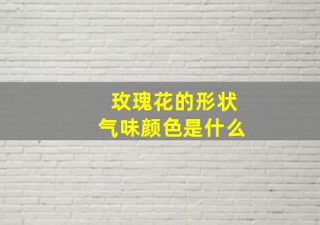 玫瑰花的形状气味颜色是什么