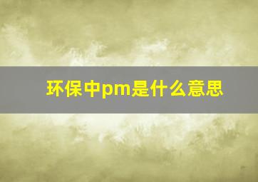 环保中pm是什么意思