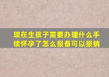 现在生孩子需要办理什么手续怀孕了怎么报备可以报销