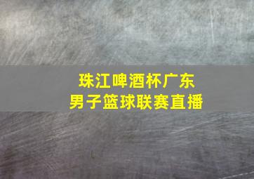 珠江啤酒杯广东男子篮球联赛直播