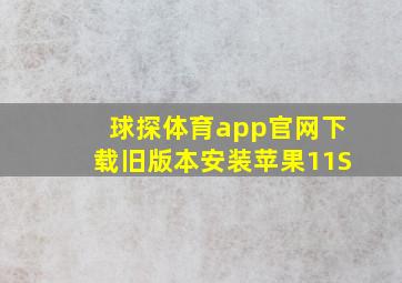 球探体育app官网下载旧版本安装苹果11S