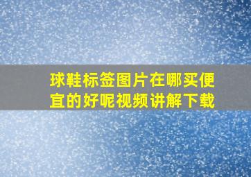 球鞋标签图片在哪买便宜的好呢视频讲解下载