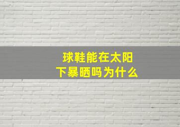 球鞋能在太阳下暴晒吗为什么