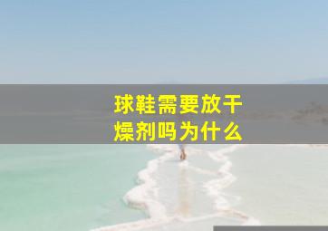 球鞋需要放干燥剂吗为什么