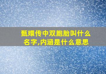 甄嬛传中双胞胎叫什么名字,内涵是什么意思