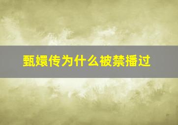 甄嬛传为什么被禁播过