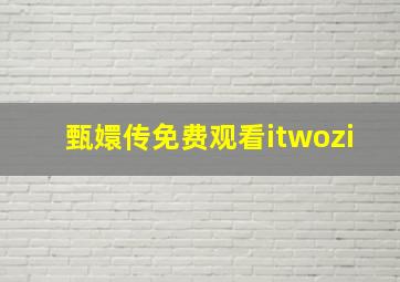 甄嬛传免费观看itwozi