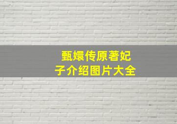 甄嬛传原著妃子介绍图片大全