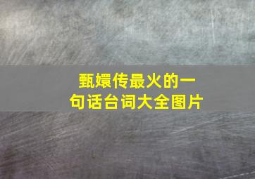 甄嬛传最火的一句话台词大全图片