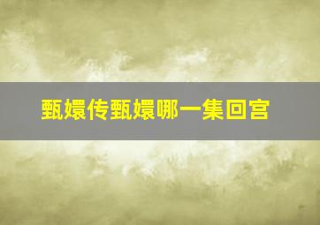 甄嬛传甄嬛哪一集回宫