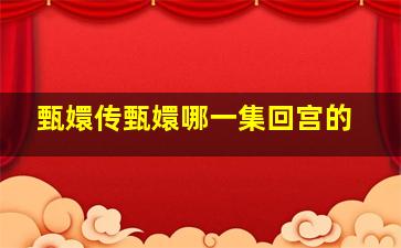 甄嬛传甄嬛哪一集回宫的