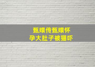 甄嬛传甄嬛怀孕大肚子被猫吓