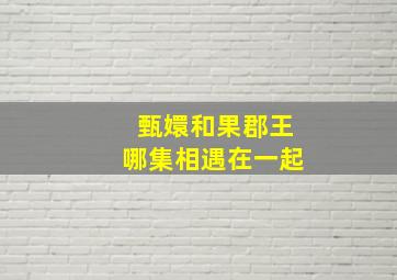 甄嬛和果郡王哪集相遇在一起