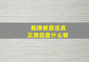 甄嬛被禁足真正原因是什么呢