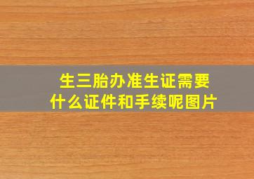 生三胎办准生证需要什么证件和手续呢图片