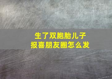 生了双胞胎儿子报喜朋友圈怎么发