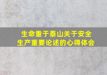 生命重于泰山关于安全生产重要论述的心得体会