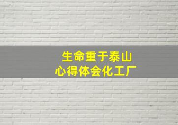 生命重于泰山心得体会化工厂