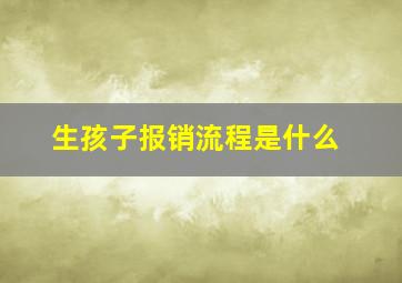 生孩子报销流程是什么