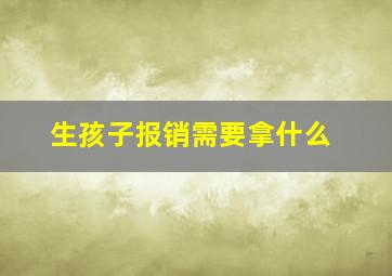 生孩子报销需要拿什么