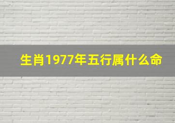 生肖1977年五行属什么命