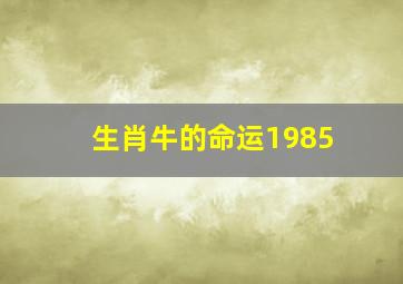 生肖牛的命运1985