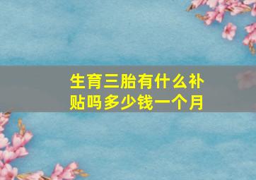 生育三胎有什么补贴吗多少钱一个月