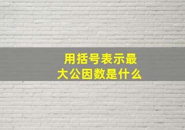 用括号表示最大公因数是什么