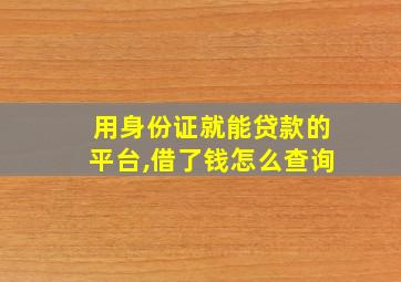 用身份证就能贷款的平台,借了钱怎么查询