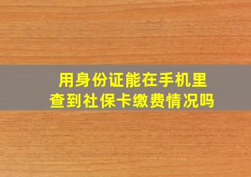 用身份证能在手机里查到社保卡缴费情况吗