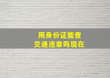 用身份证能查交通违章吗现在